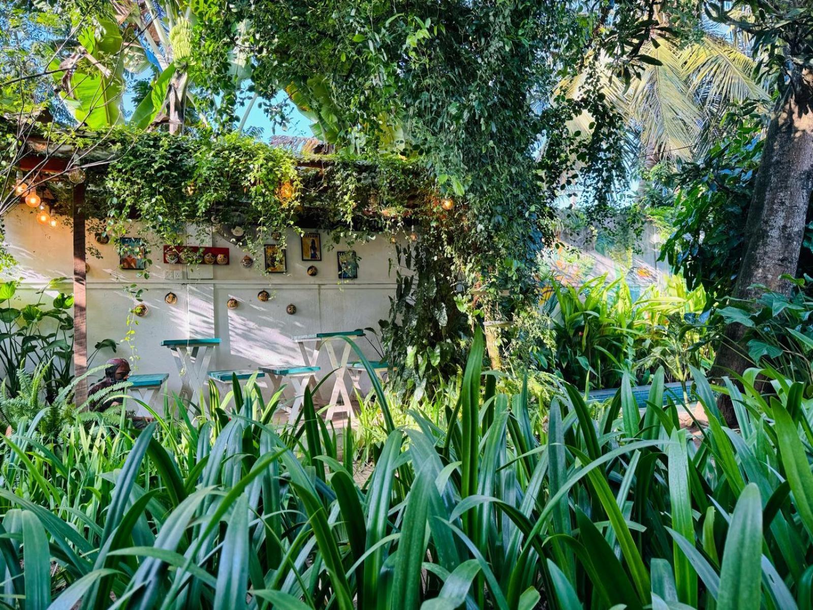 Double Mango Villa Katunayaka Kültér fotó